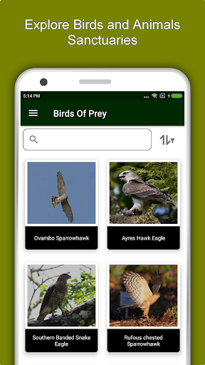 Screenshot of Zimbabwe Travel & Explore, Off
