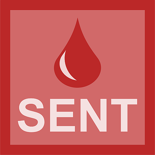 SENT Dostawy logo