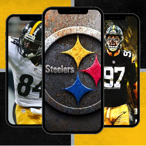 Pittsburgh Steelers fans