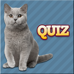 Cats Quiz Apk