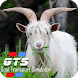 Farm Simulator Goat Game - Androidアプリ
