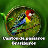 canto de pássaros brasileiros|100% Offline icon