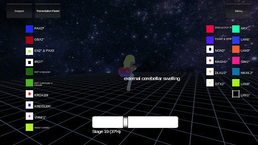 3D Developmental Neuroanatomy