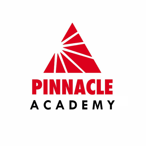 PINNACLE ACADEMY logo