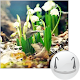 Blooming Nature (PLB exercise) विंडोज़ पर डाउनलोड करें
