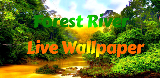 Forest River Live Wallpaper