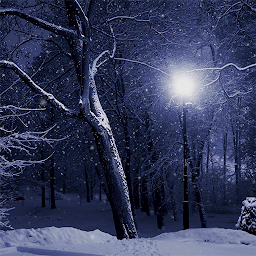 Icon image Peaceful Snowfall