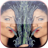 Mirror Reflection Pic Effects icon