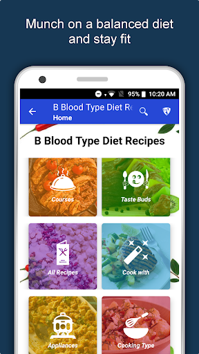 Screenshot of B Blood Type Recipes Diet Plan