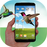 Hummingbird fly in phone prank icon