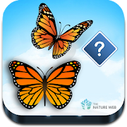 Top 41 Trivia Apps Like Guess the Butterfly-Photo Quiz - Best Alternatives