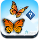 Guess the Butterfly-Photo Quiz Download on Windows