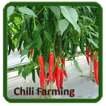 Cover Image of Скачать Chili Farming 4.0 APK