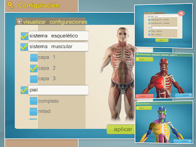Screenshot 7 Easy Anatomy 3D(learn anatomy) android