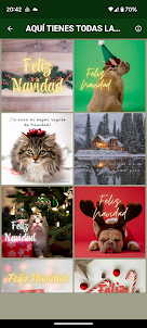 Feliz Navidad postales frases