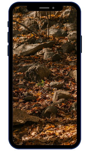 Stone Wallpapers Screen 2