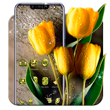 Beautiful Yellow Tulip Theme icon