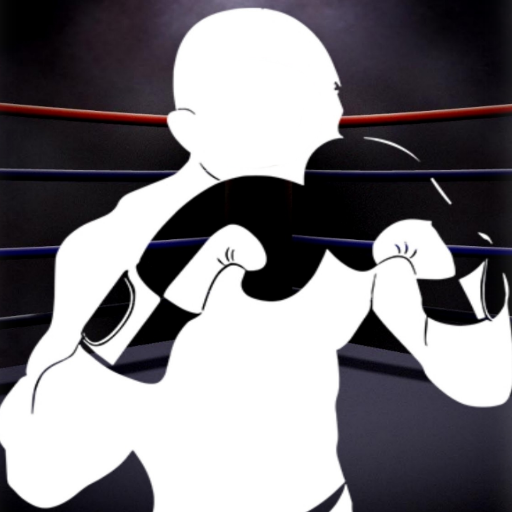 Punch Perfect: Boxing Workouts  Icon