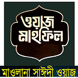 Saidi Bangla Waz tafsir icon