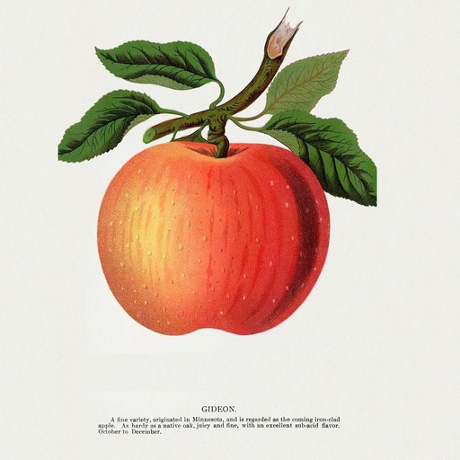 Fruit and Vegetable Wallpaper logo