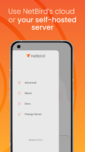 NetBird P2P VPN