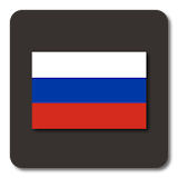 Lightning Launcher - Русский icon