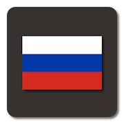 Lightning Launcher - Русский  Icon