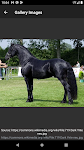 screenshot of Horse breeds - Photos
