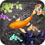 Fish 3D Live Wallpaper icon