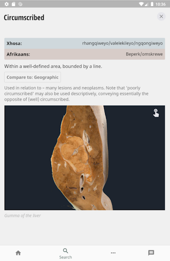 Pathology Lexicon A-Z