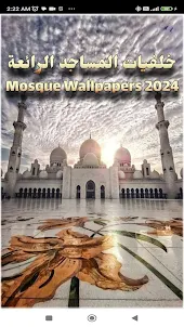 Mosque Wallpapers 2024