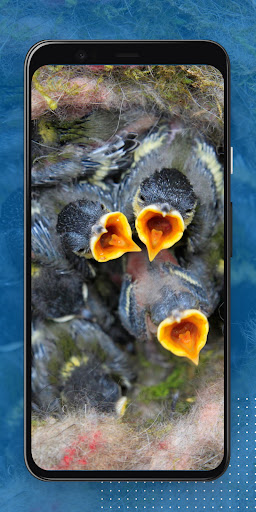 VR-Garten Screen 3