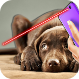 Laser Pointer For Dog Prank icon