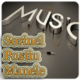 Sorinel Pustiu Muzica&Versuri icon