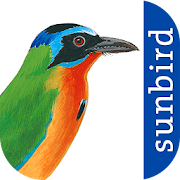 All Birds Trinidad & Tobago - Sunbird Field Guide