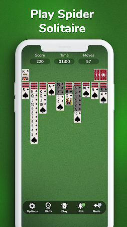 Game screenshot Solitaire Spider 2023 mod apk