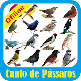 Canto de Pássaros Brasil icon