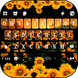 Sunflower Fields Keyboard Background icon