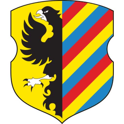 Несвиж-Минск logo