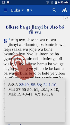 Nchane Bible Screen 2