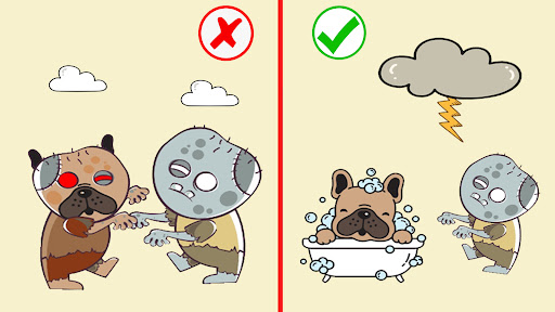 Logic Puzzles: Save The Doge 3 Screen 2