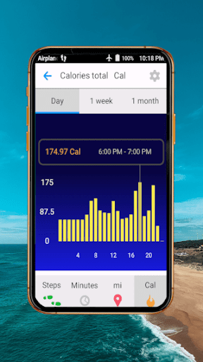 Screenshot of StepsMagic (Pro) step counter