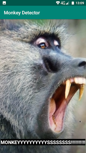 Monkey Detector Screen 2