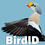 Cover Image of Download BirdID - European bird guide a  APK
