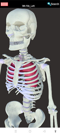 Anatomy 360- Atlas Screen 3