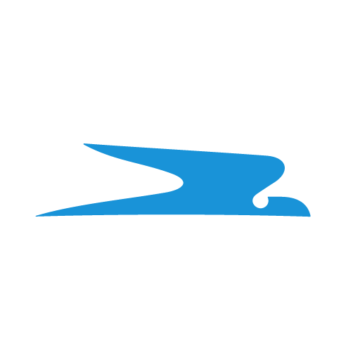 Bravo Aerolíneas  Icon