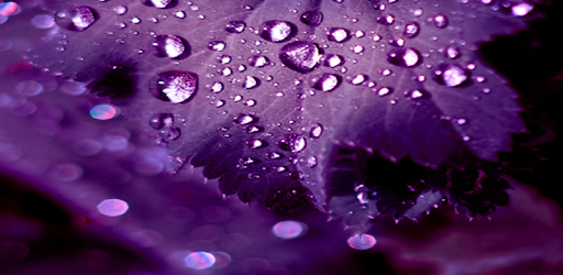 Lluvia imágenes fondos y mas