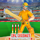 Indian Cricket League 2021 - Real T20 Cricket Game Download on Windows