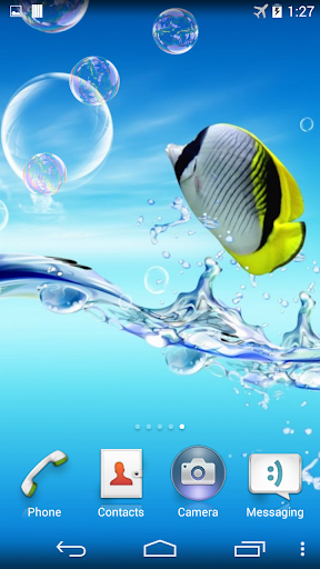 Colorful Tropical Fishes