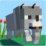 Cover Image of Télécharger WolfPack  APK